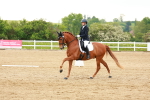 SBM_006312