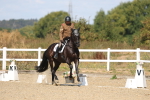 SBM_013633