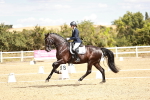 SBM_009481