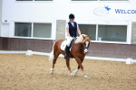 SBM_008997