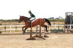 SBM_004466
