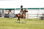 SBM_15640
