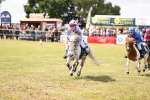 SBM_16633