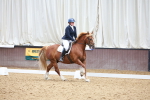 SBM_011531