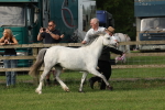 SBM_00609