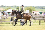 SBM_14895