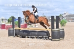 BPP_2367