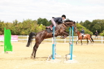 SBM_006337