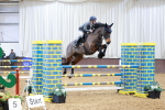 SBM_003880