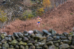 Stybarrow Dodd-721