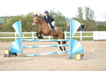 SBM_004204