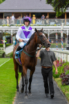 170623-Race 5-Twilight Romance-0805