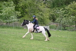 WJ6_3474