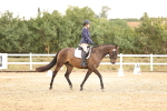 SBM_001991