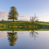 Reflections