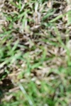SBM_10071