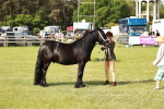 SBM_00843