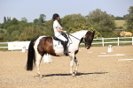SBM_010145