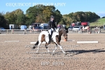 BPP_8876