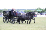 SBM_07079