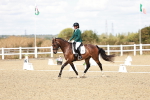 SBM_009819