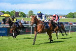Race 6 5.10pm Racing Welfare Supporting Mental Health Handicap portfolio