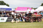 SBM_07013