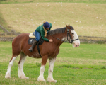 Dionne-124