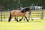 SBM_01595