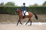Unaffiliated Dressage portfolio