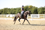 SBM_007558