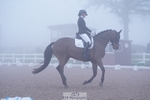 Cls 14 Novice Silver portfolio