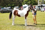 SBM_04267
