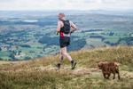 Sedbergh Hills-724