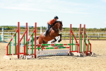 SBM_005564