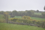 WJ5_7347