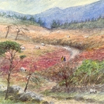 Moorland Path