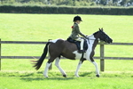 SBM_50275