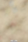 230701A-122412-05733