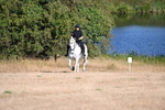 WJ6_6968