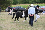 WJ6_5552