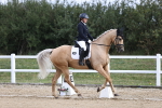 SBM_015404