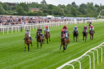 130626-Race 1-Dunkeld Dreamer-0303