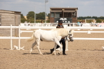 SBM_04517