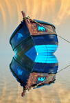 Blue Dolphins