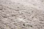 SBM_000940