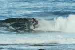 DSC_5457