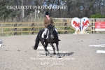 BPP_8550