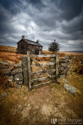 Bleak House III