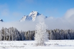 GTNP Winter